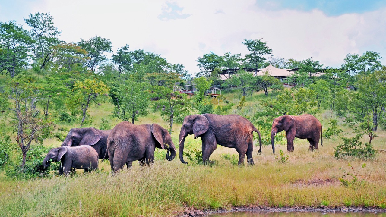 Photo of Others in Victoria Falls