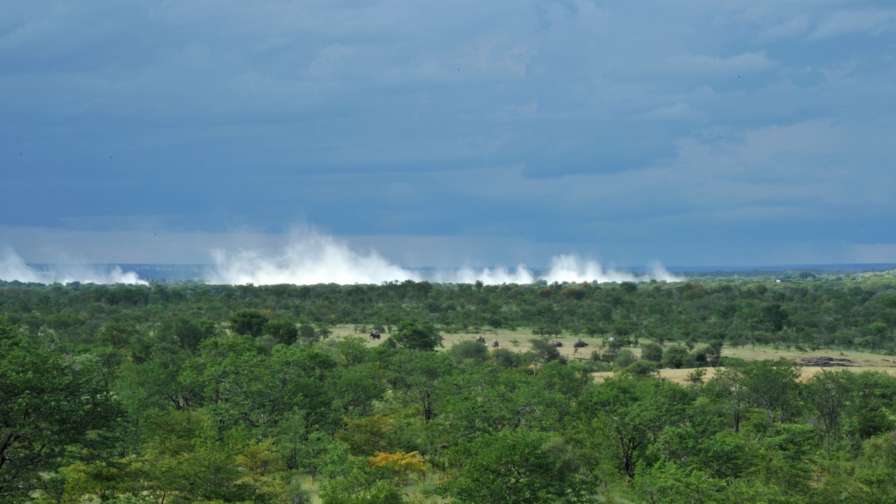 Photo of Others in Victoria Falls