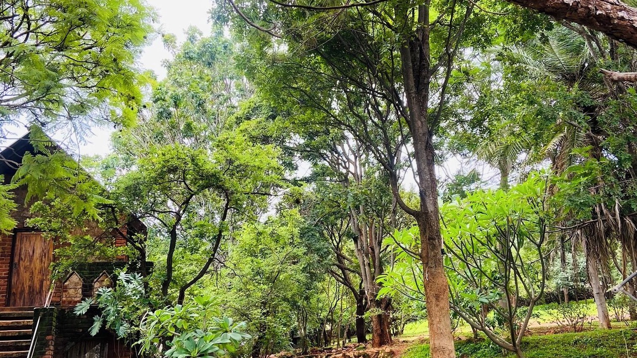 Photo of Outdoor in Chipata