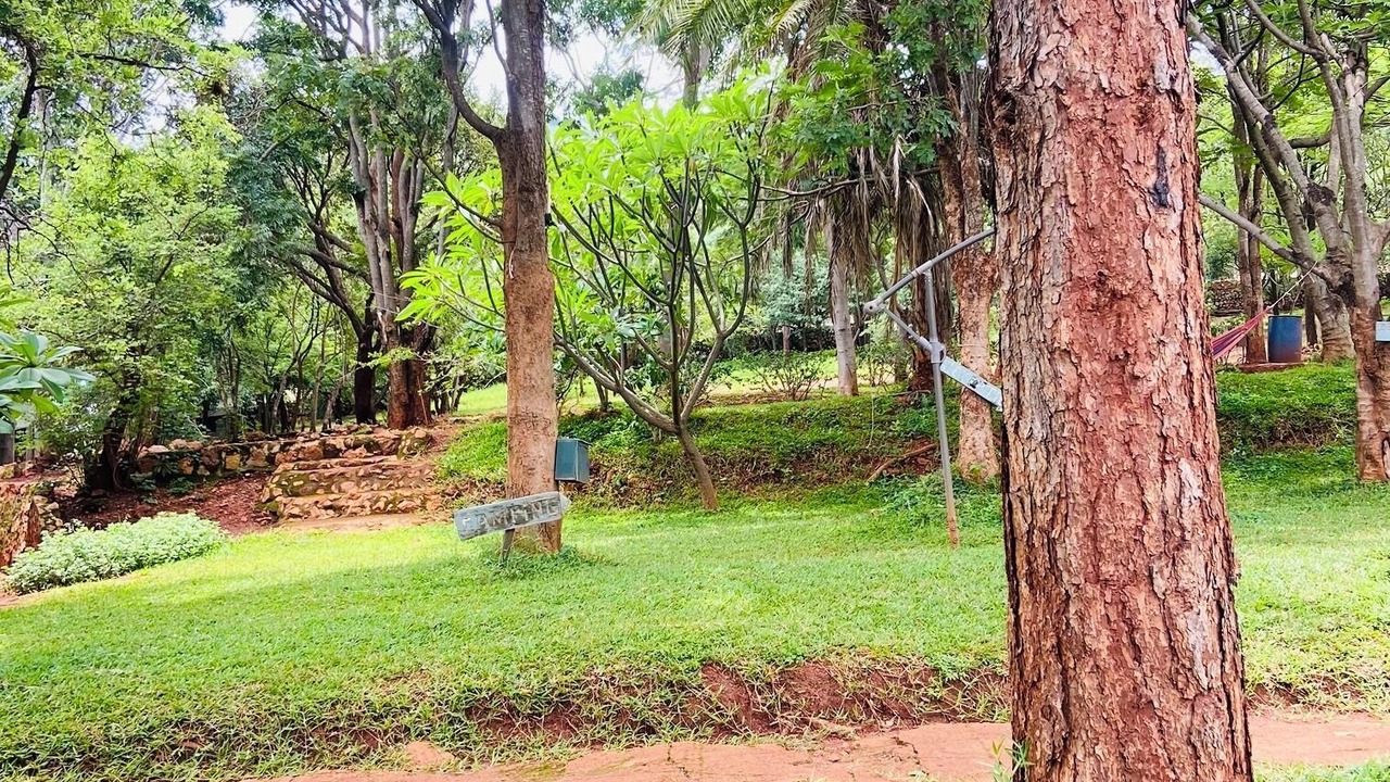 Photo of Outdoor in Chipata