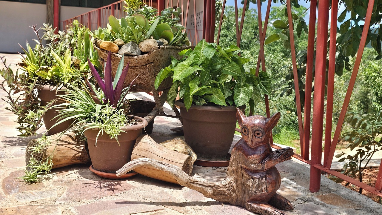 Photo of Outdoor in Mutare
