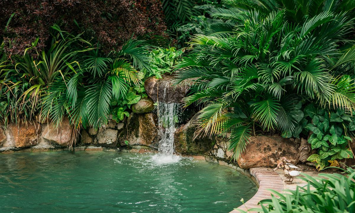 Photo of Outdoor in Harare