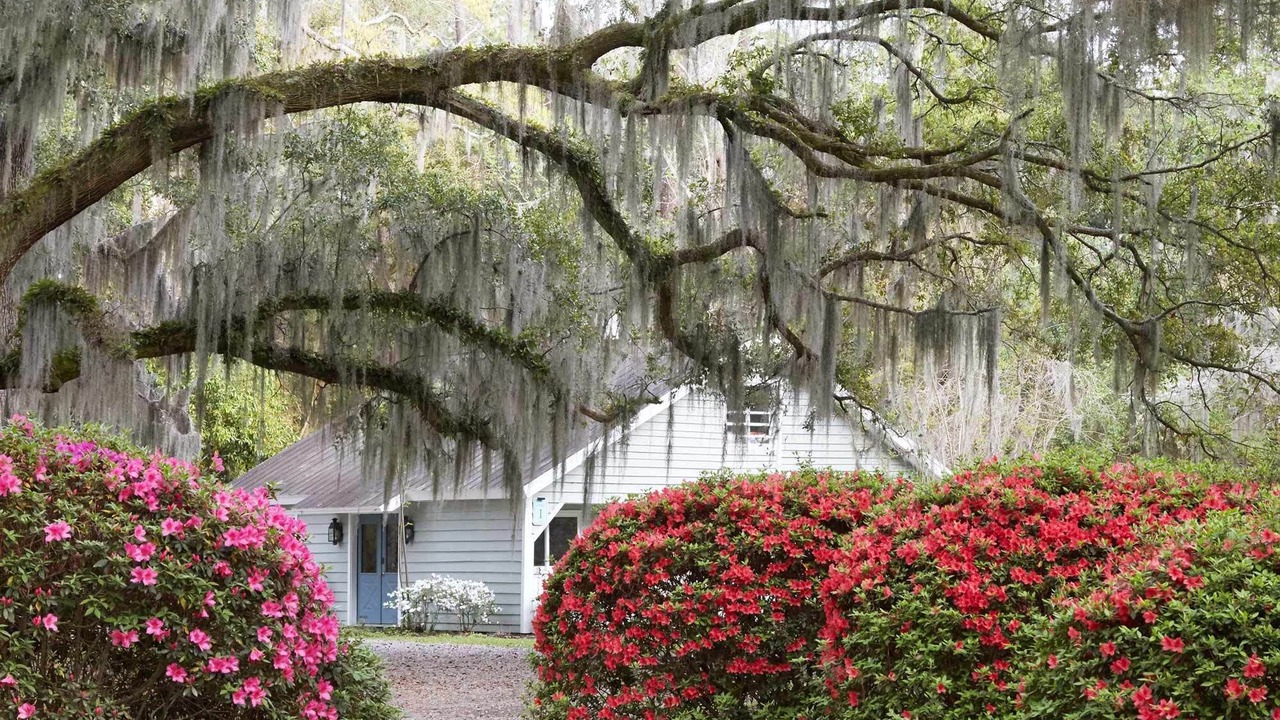 Photo of Outdoor in Georgetown
