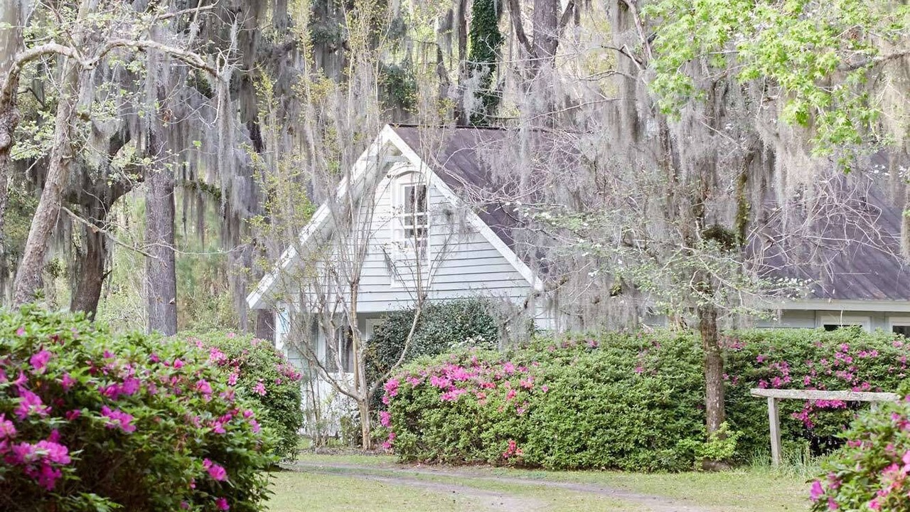 Photo of Outdoor in Georgetown