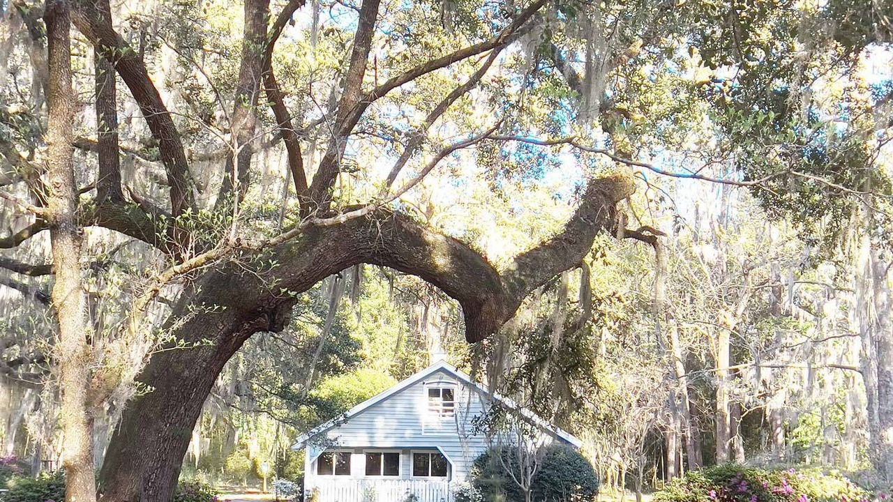 Photo of Outdoor in Georgetown