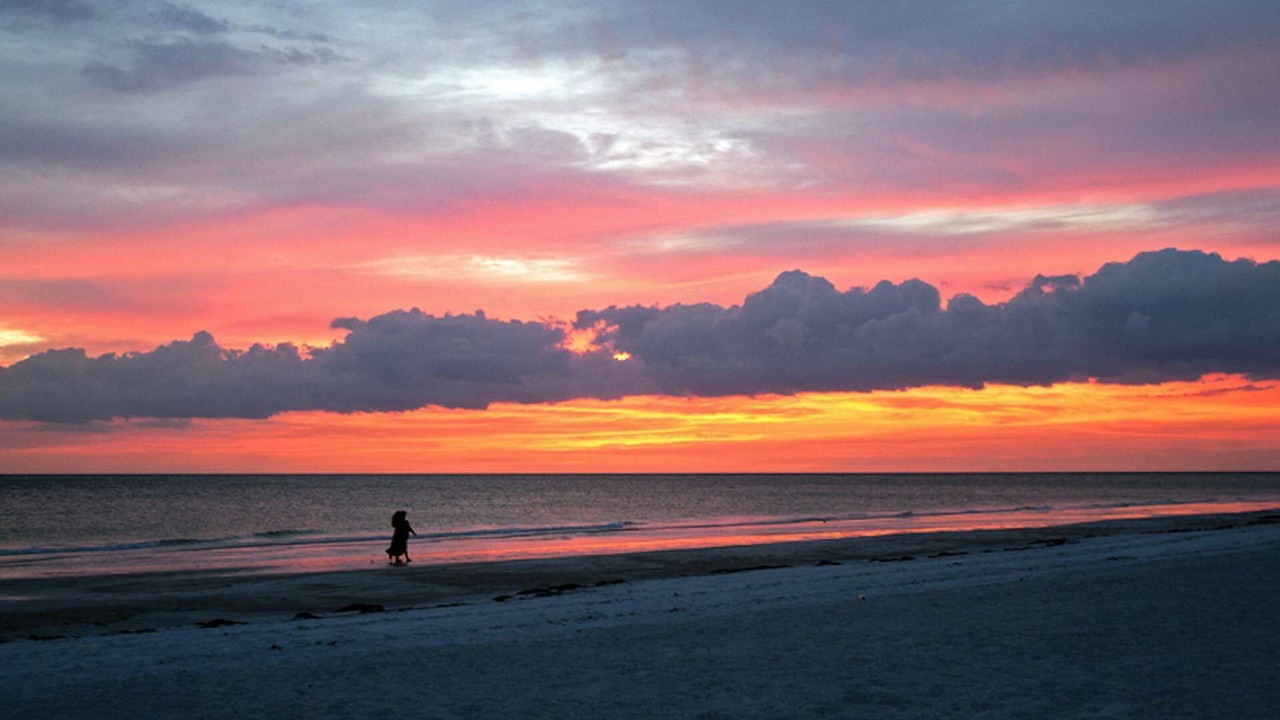 Photo of Outdoor in Siesta Key