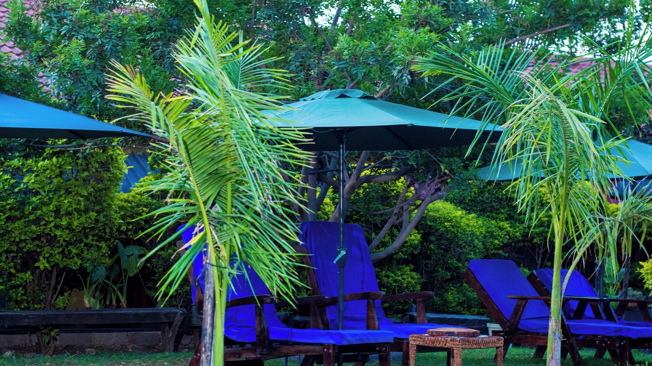 Photo of Outdoor in Bulawayo
