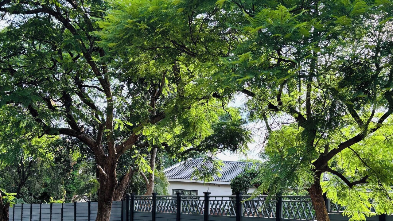 Photo of Outdoor in Bulawayo