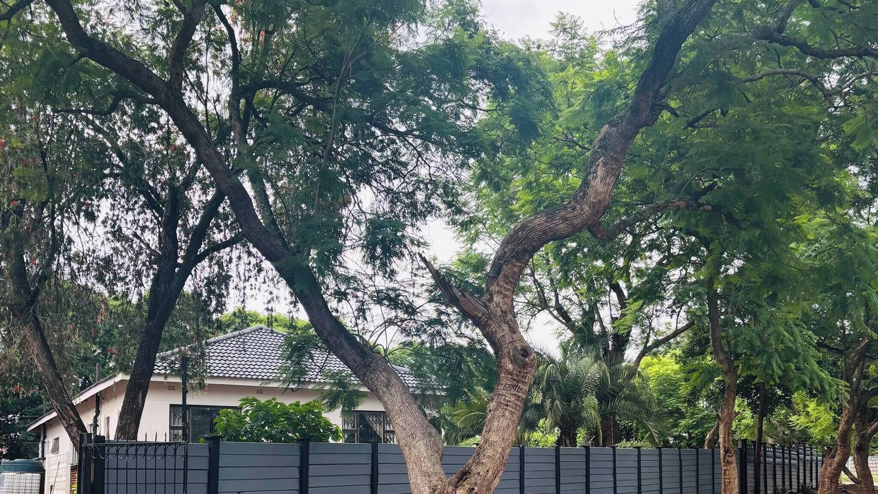 Photo of Outdoor in Bulawayo