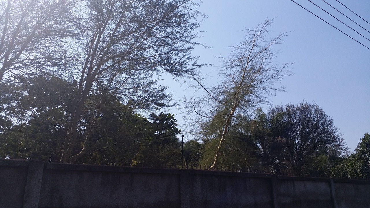 Photo of Outdoor in Harare