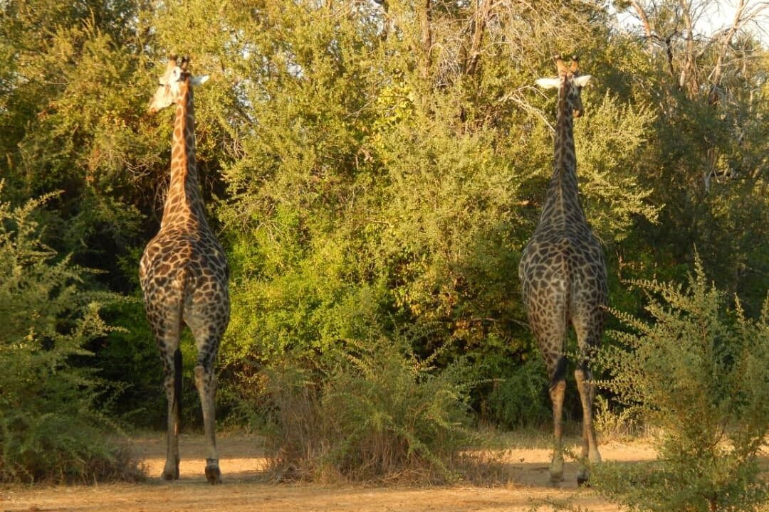 Photo of Others in Victoria Falls