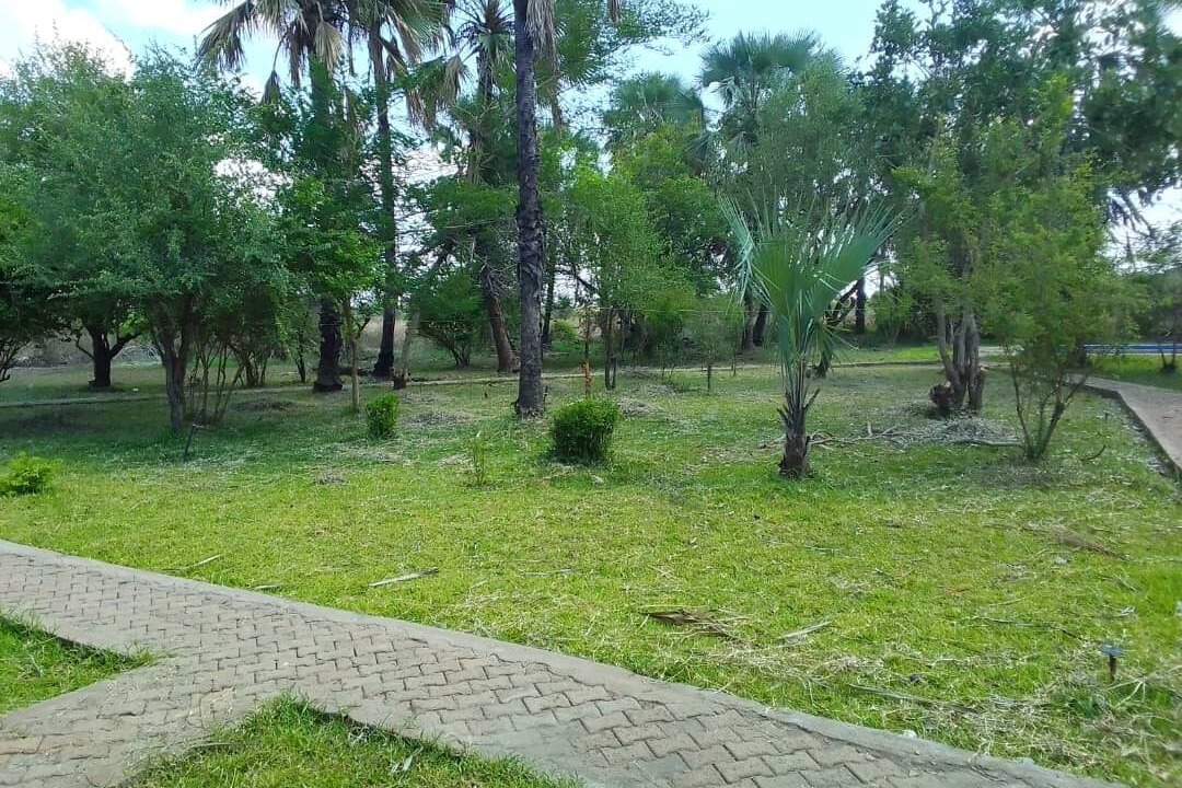 Photo of Outdoor in South Luangwa National Park