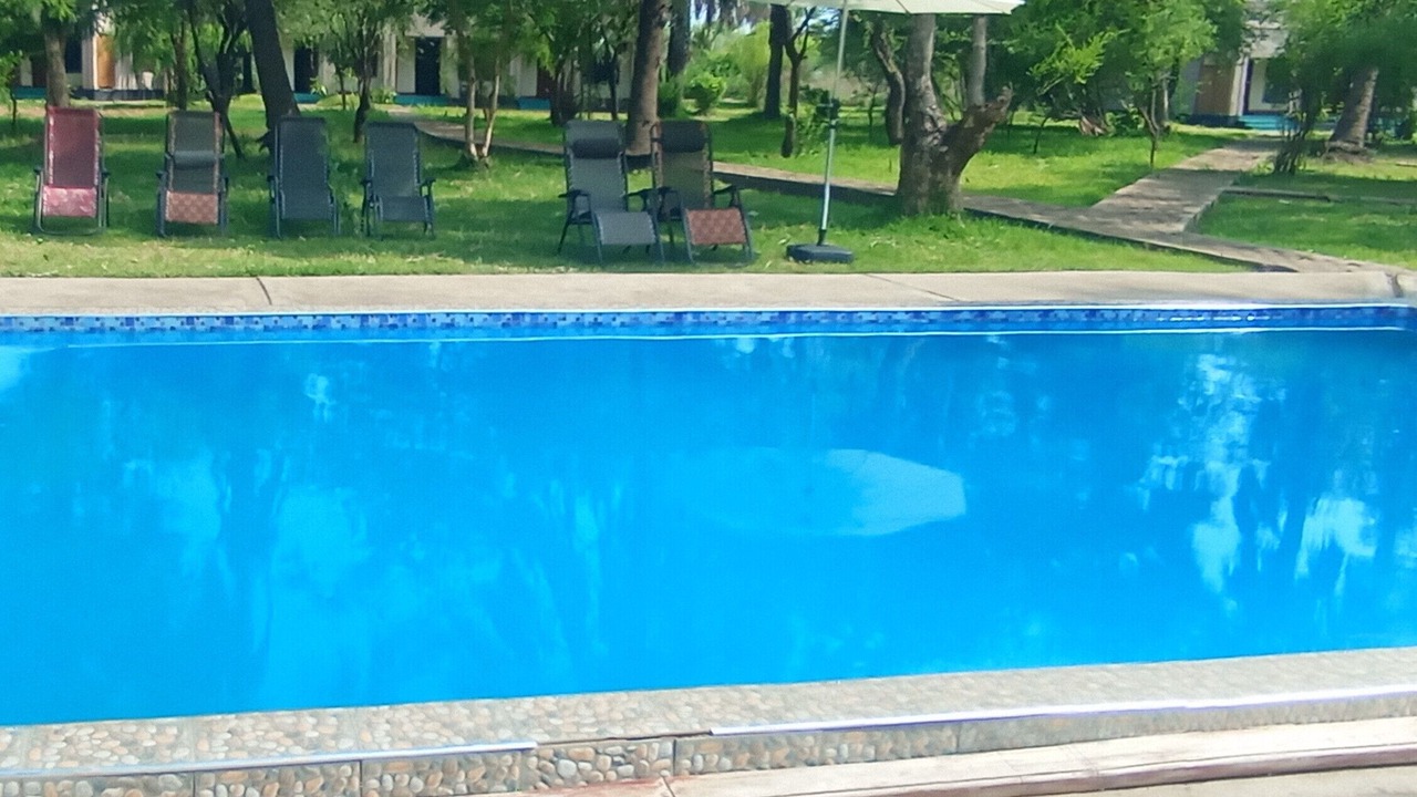 Photo of Outdoor in South Luangwa National Park