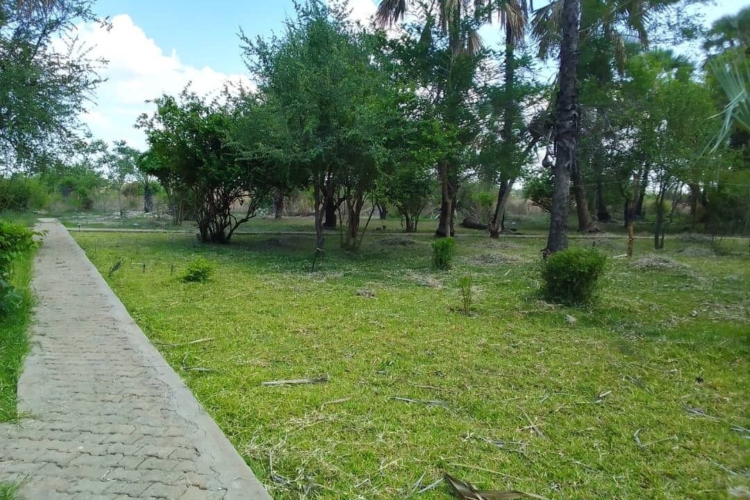 Photo of Outdoor in South Luangwa National Park