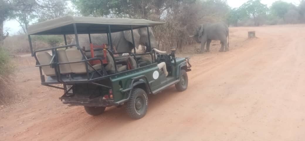 Photo of Others in South Luangwa National Park
