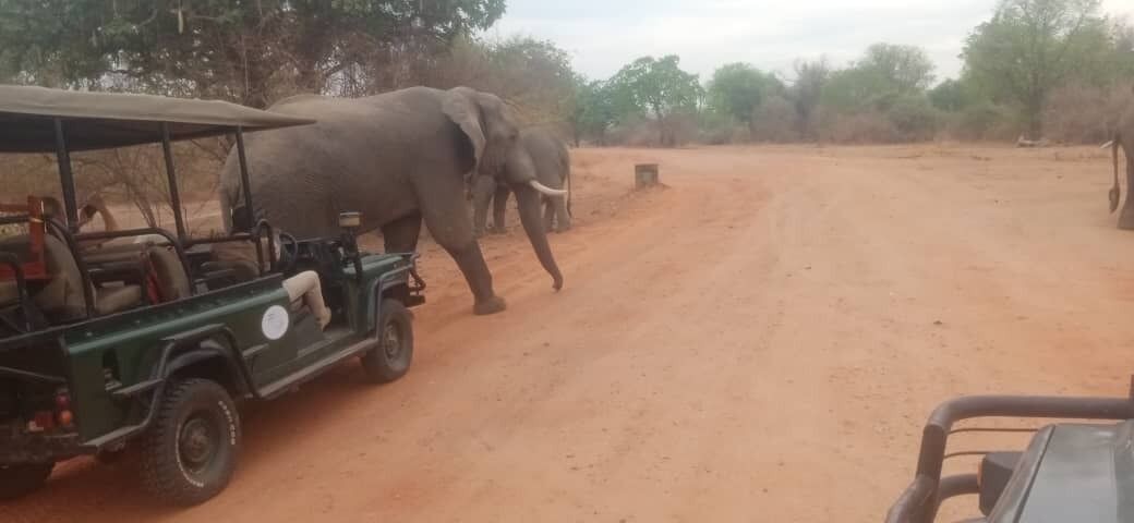 Photo of Others in South Luangwa National Park