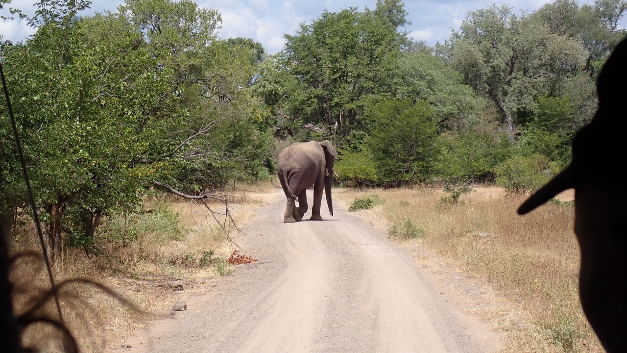 Photo of Others in Livingstone