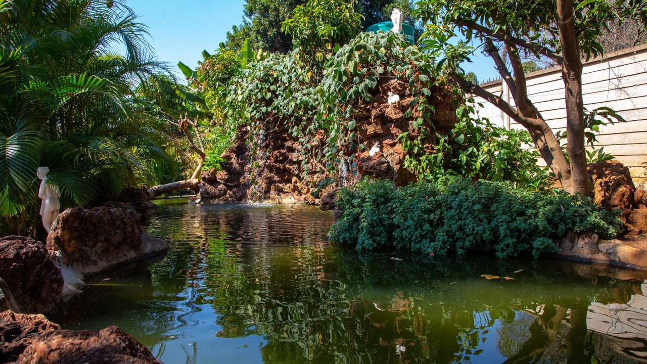 Photo of Outdoor in Harare
