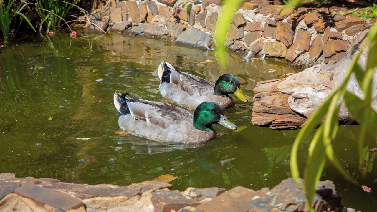 Photo of Outdoor in Harare