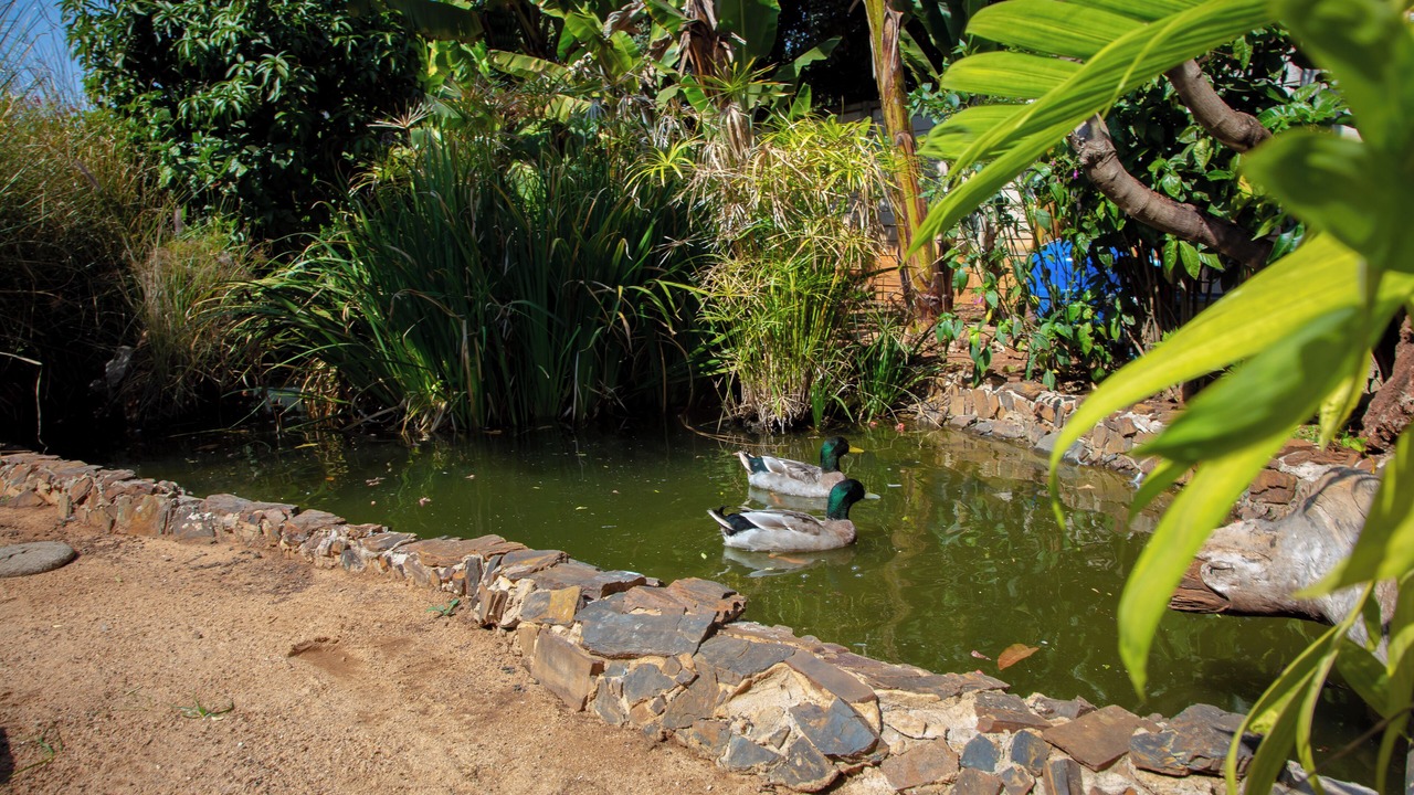 Photo of Outdoor in Harare