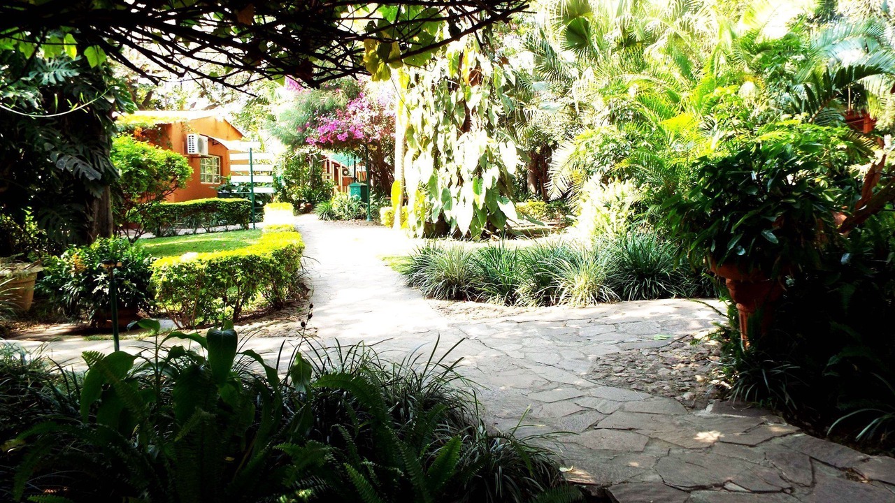Photo of Outdoor in Lusaka