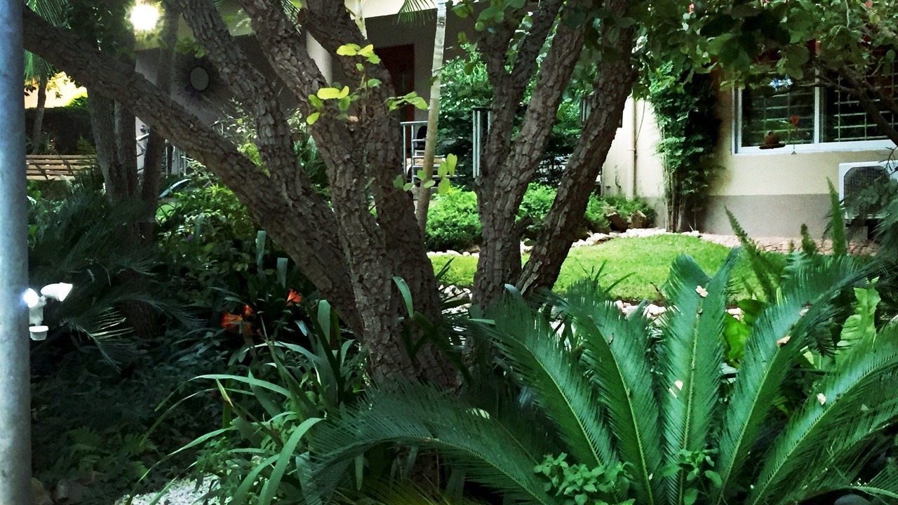 Photo of Outdoor in Lusaka