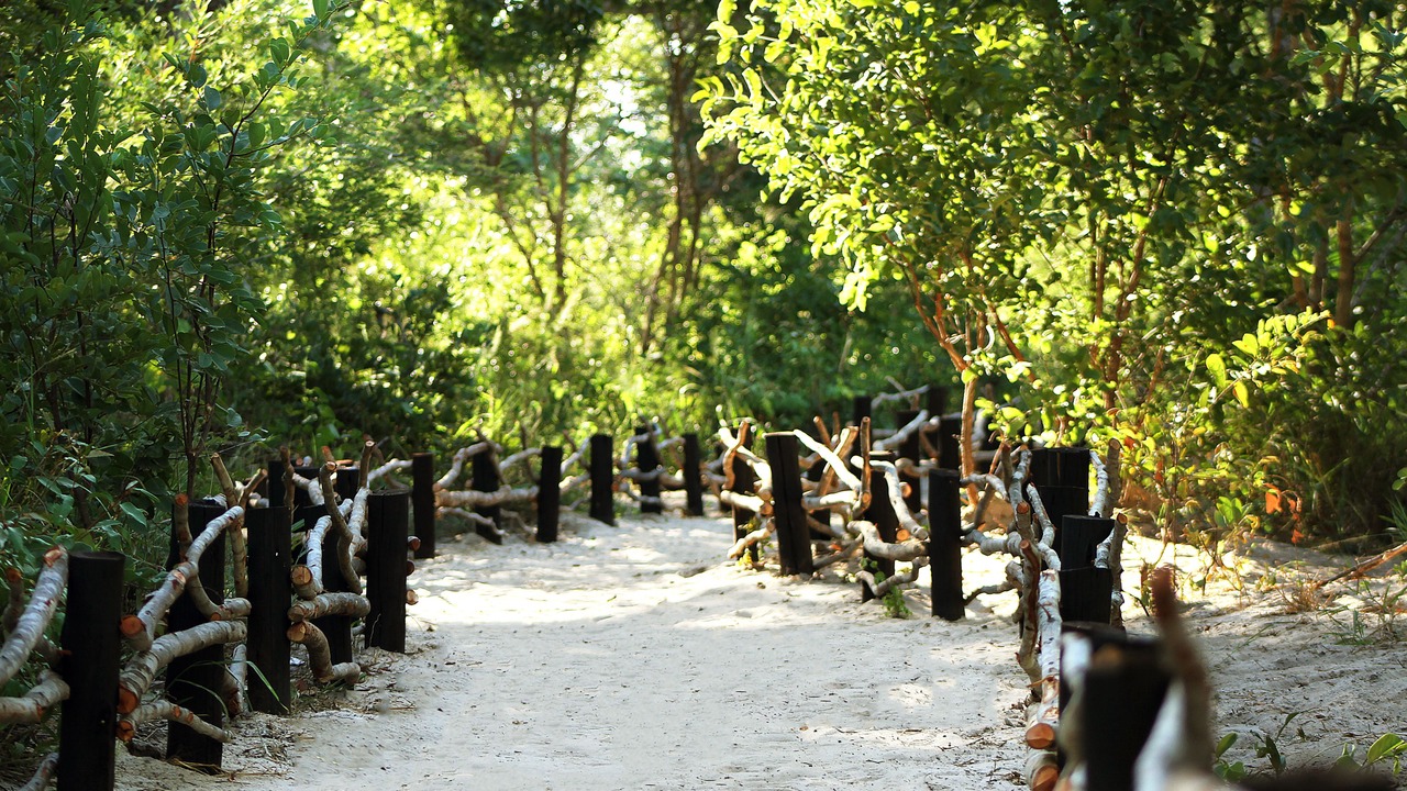 Photo of Outdoor in Dete