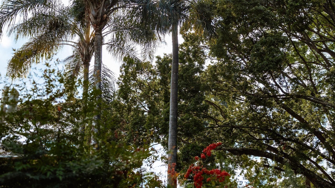Photo of Outdoor in Harare