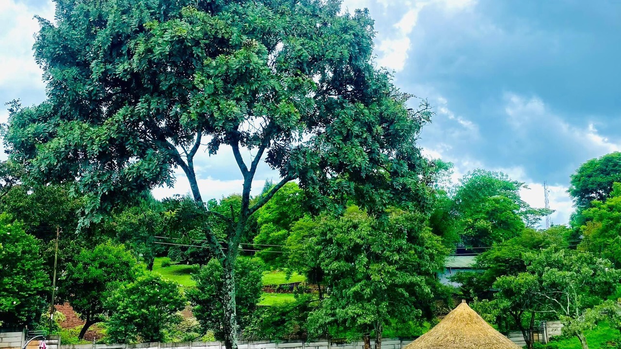 Photo of Outdoor in Harare East