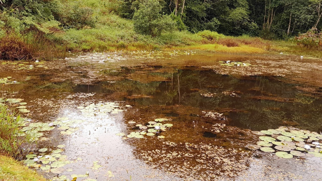 Photo of Outdoor in Mutare