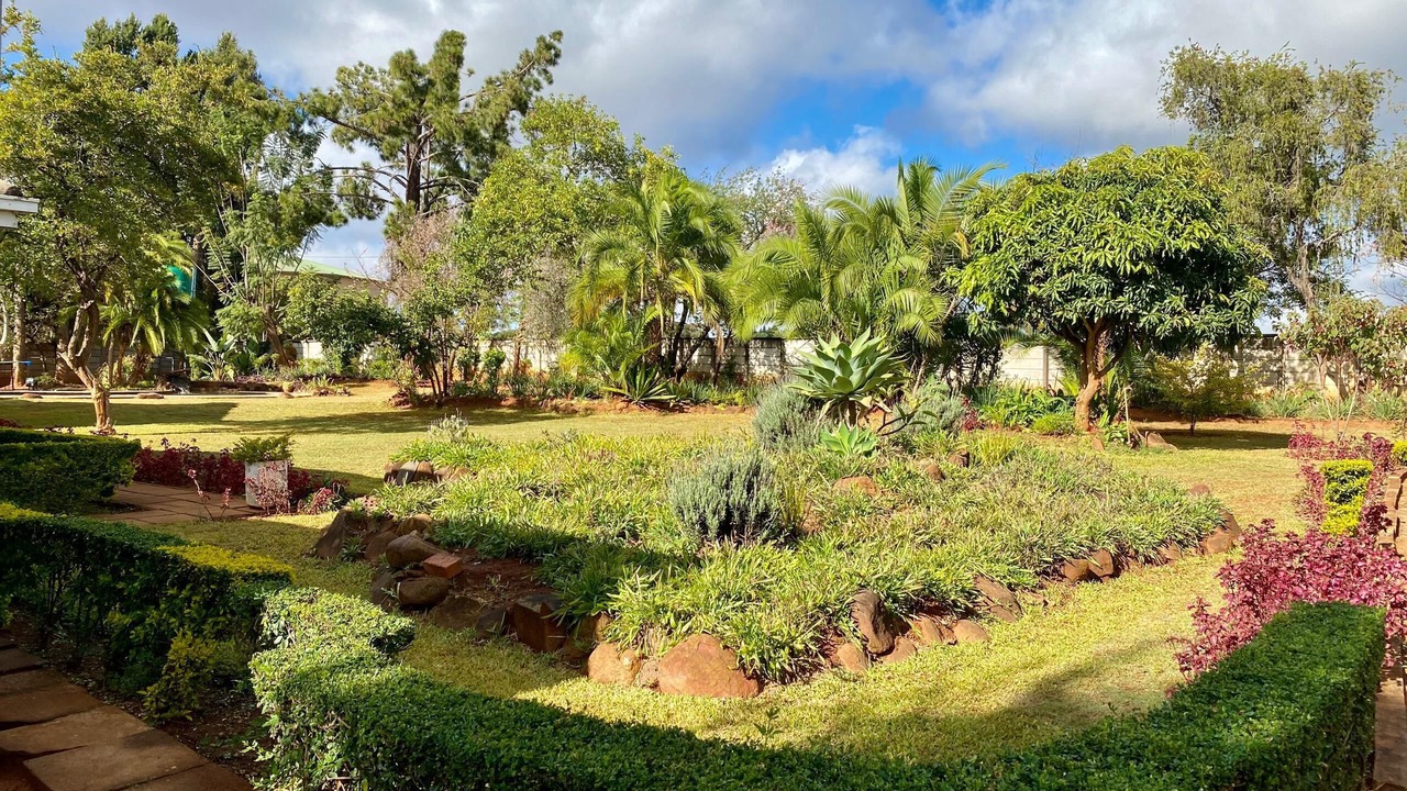 Photo of Outdoor in Harare East
