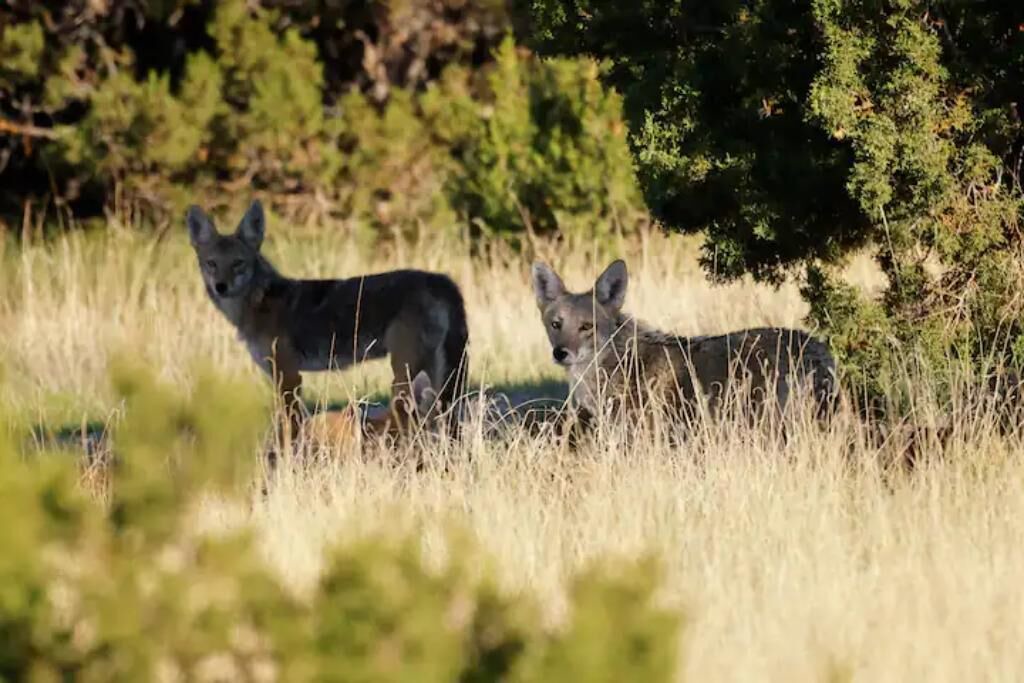Photo of Others in Eldorado at Santa Fe