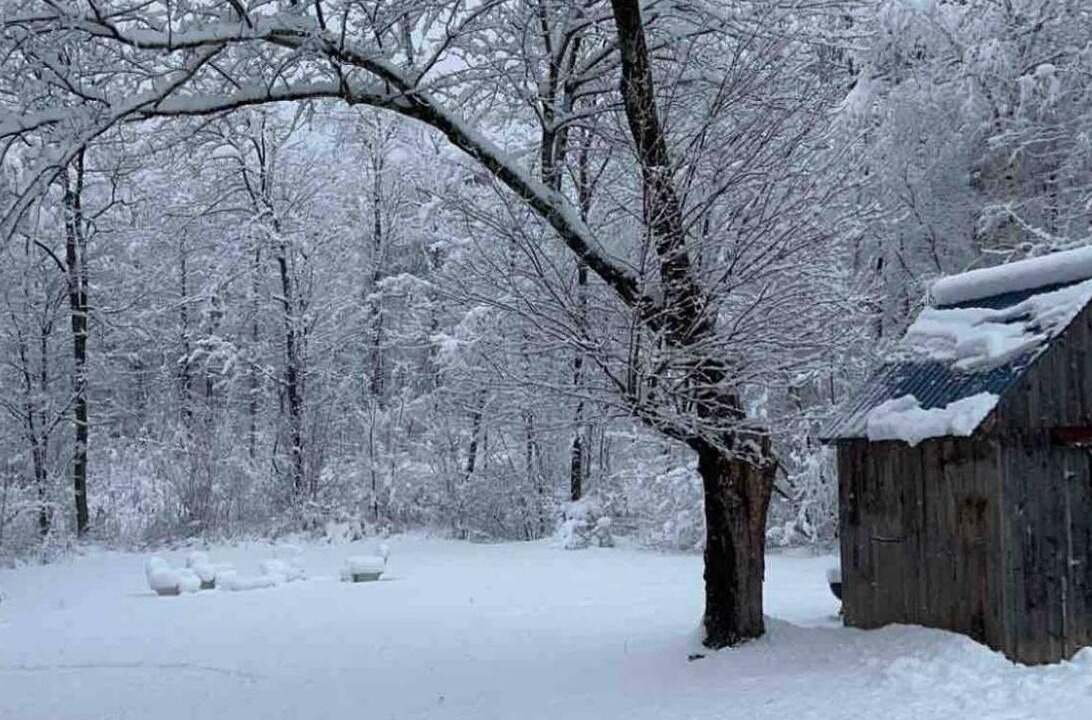 Photo of Others in Middlebury