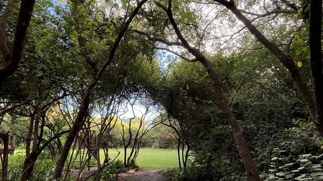 Photo of Outdoor in Bulawayo