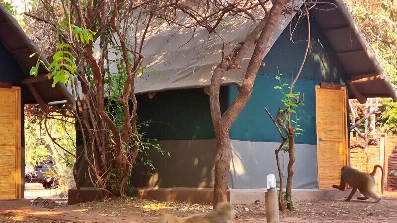 Photo of Outdoor in Kakumbi