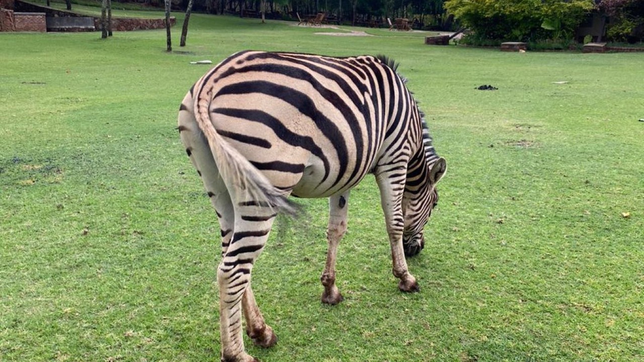 Photo of Others in Harare