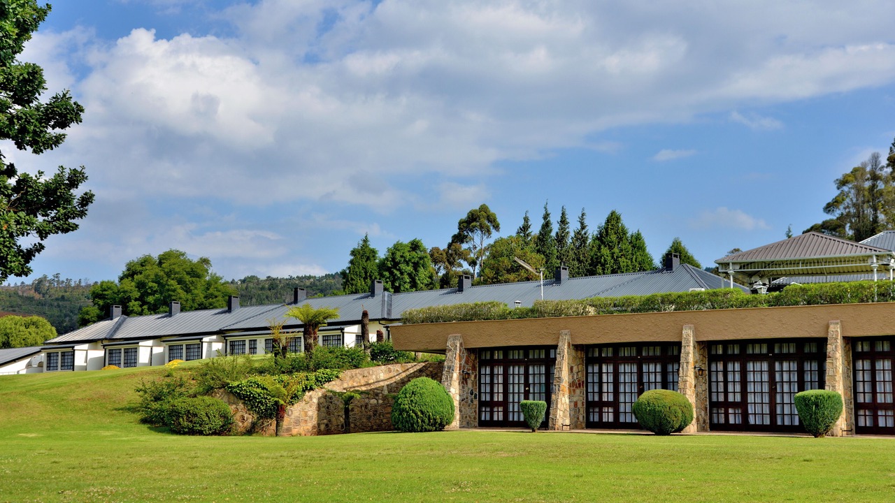 Photo of Outdoor in Nyanga