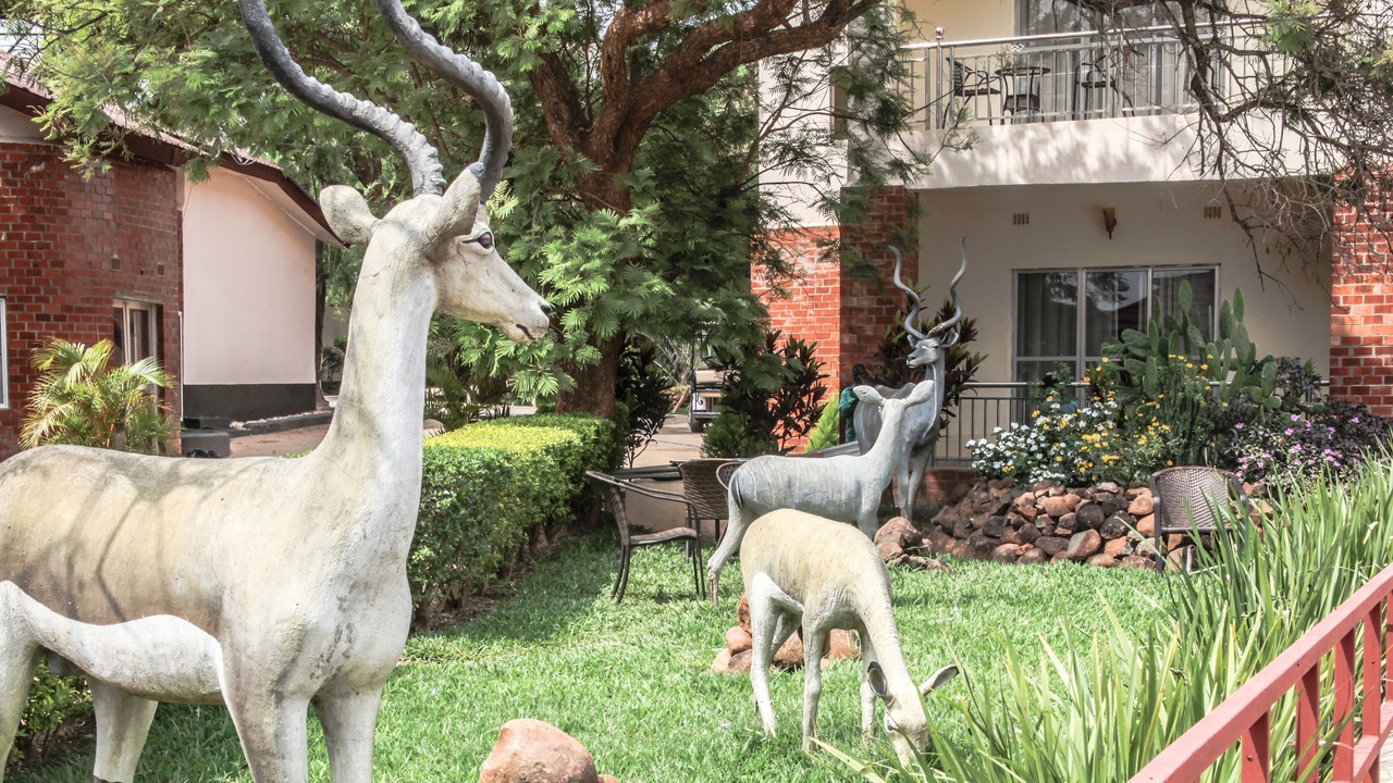 Photo of Outdoor in Lusaka