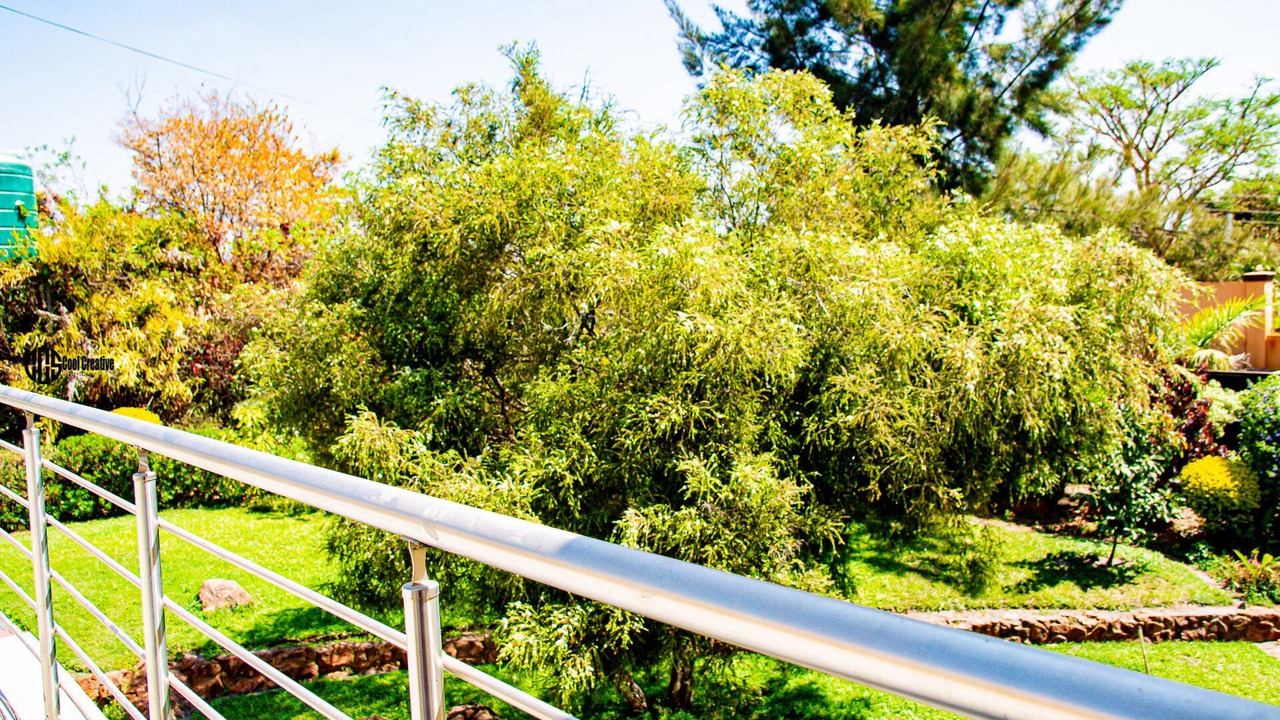 Photo of Outdoor in Harare