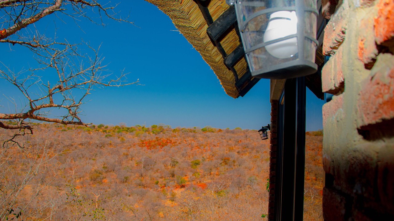 Photo of Outdoor in Victoria Falls