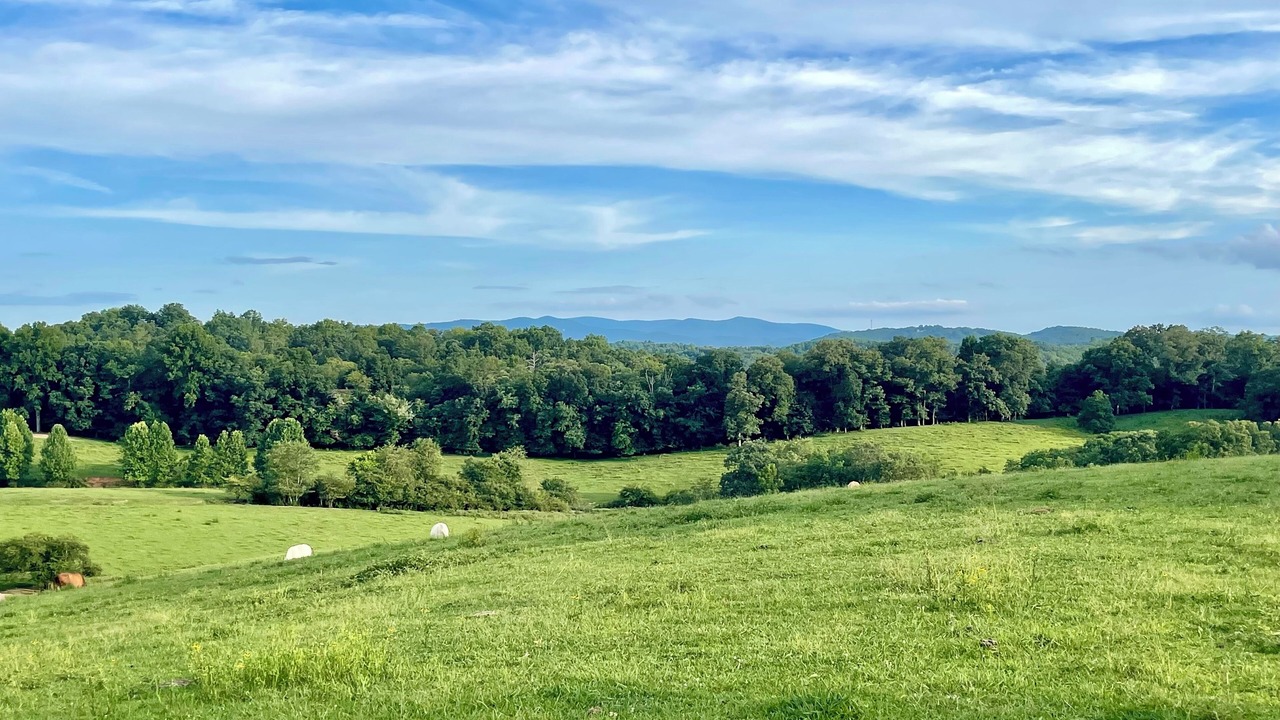 Photo of Outdoor in Blue Ridge