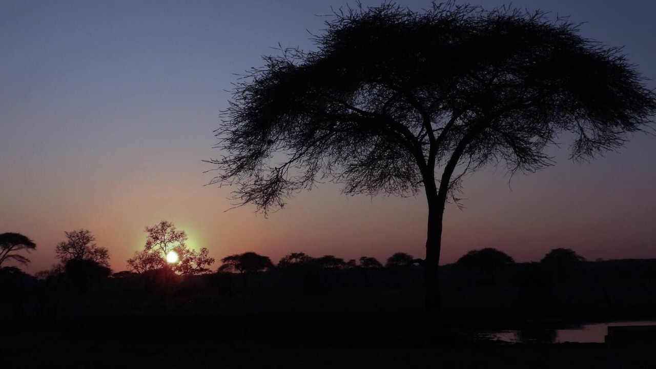 Photo of Others in Victoria Falls