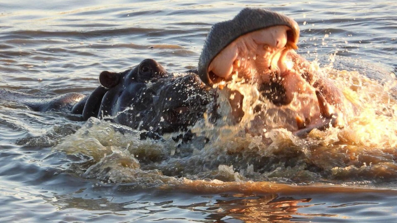 Photo of Others in Victoria Falls