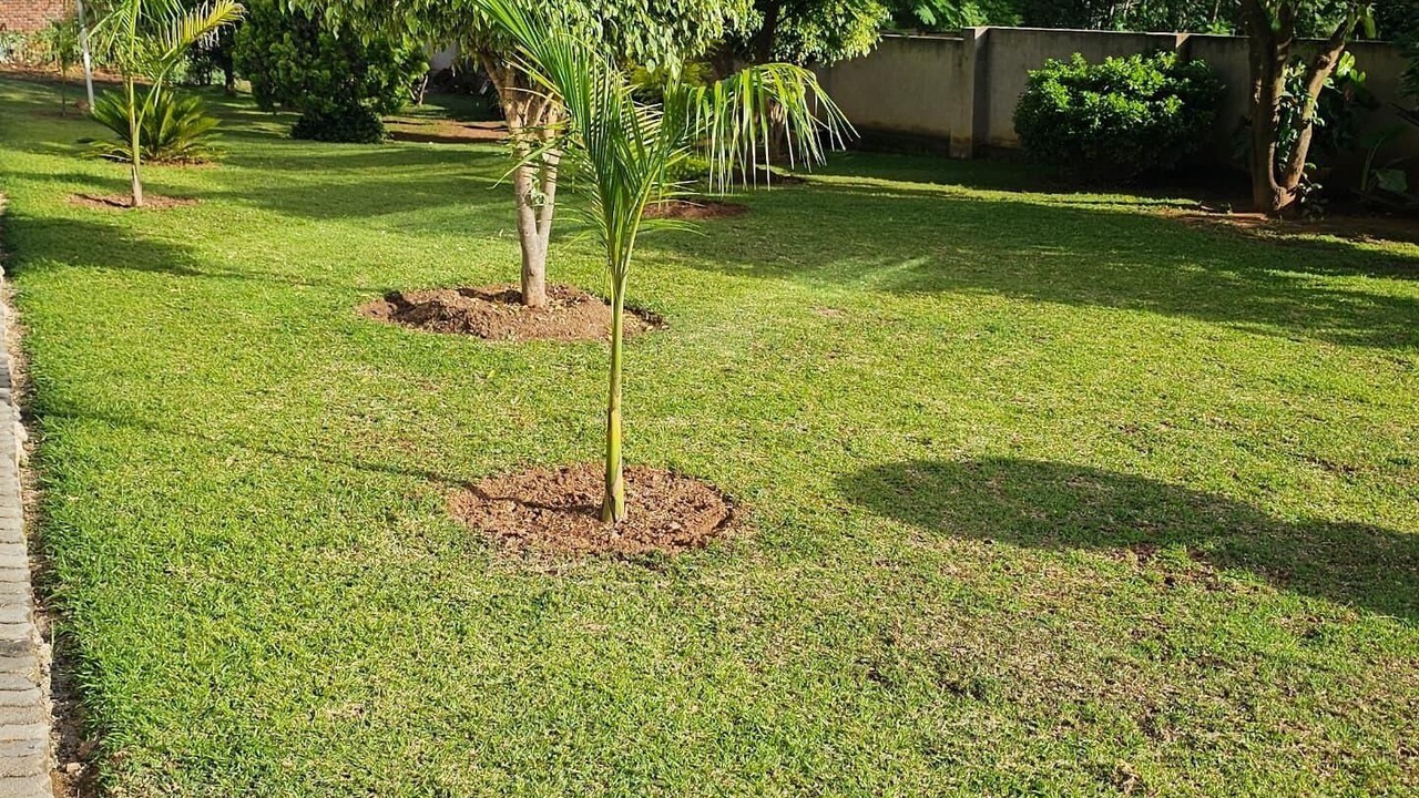Photo of Outdoor in Greendale