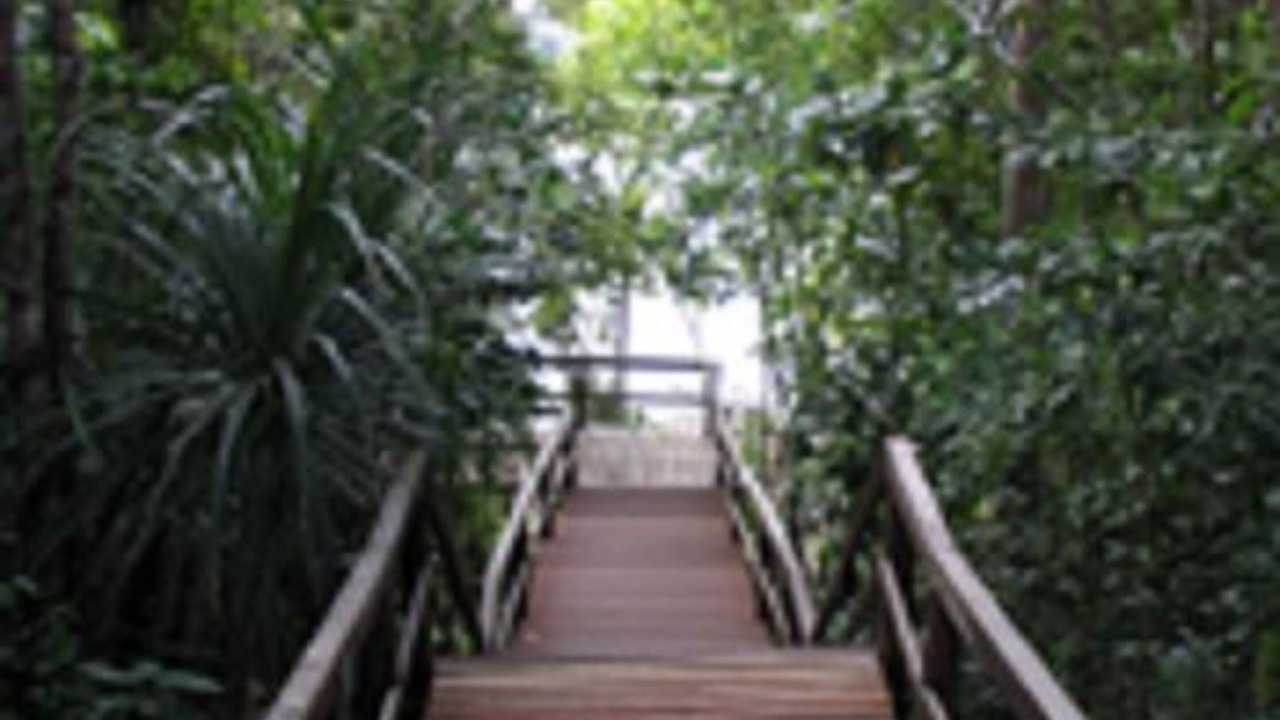 Photo of Outdoor in Alotau