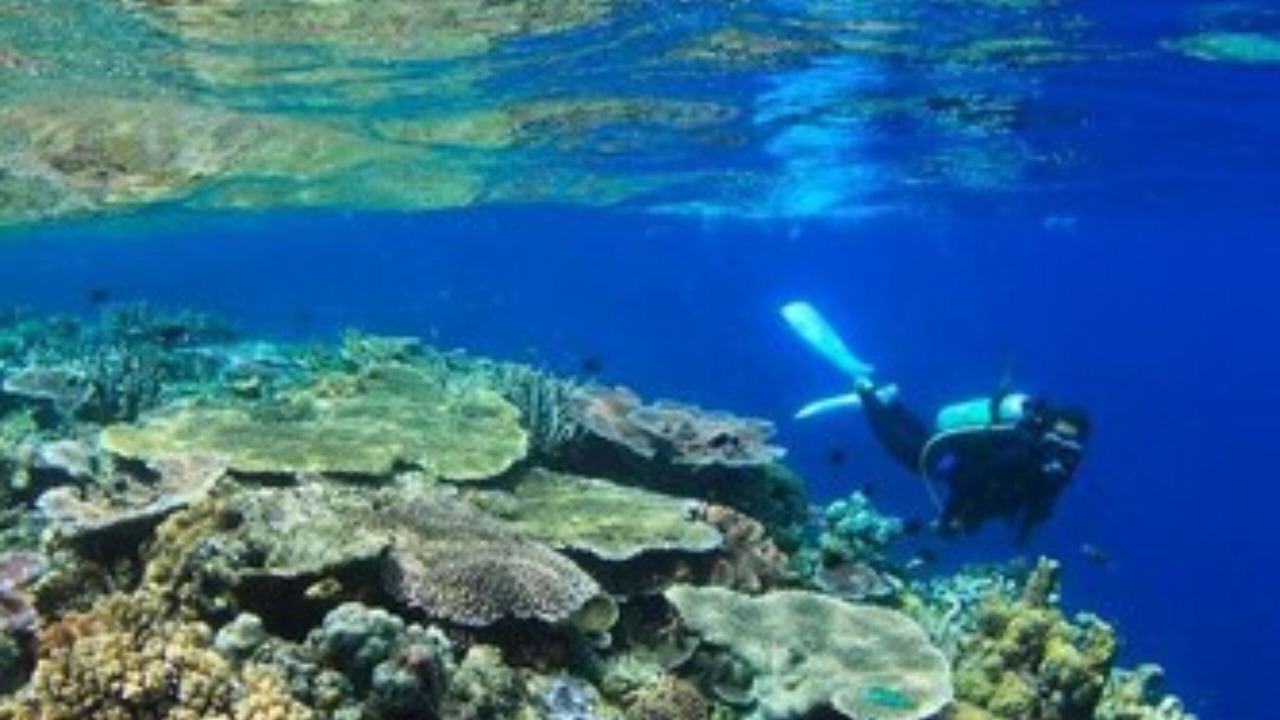 Photo of Others in Alotau