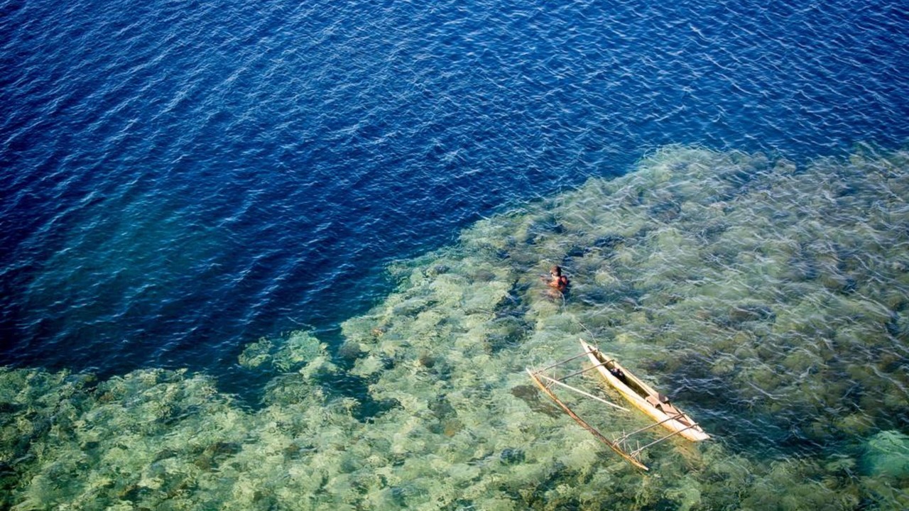 Photo of Others in Alotau