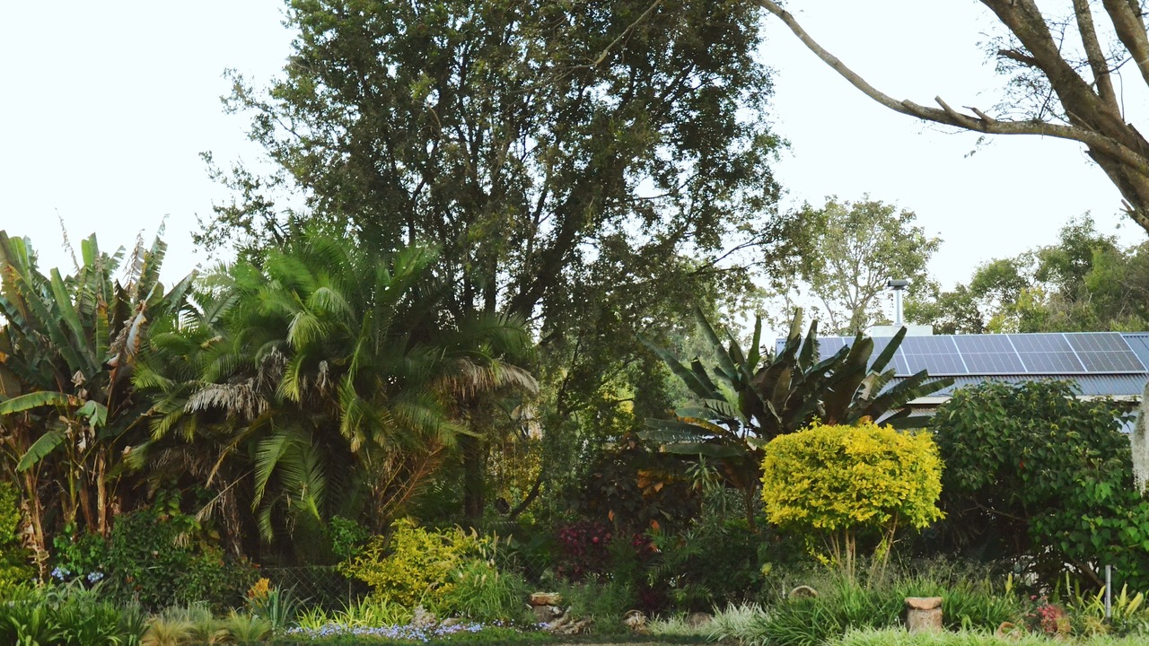Photo of Outdoor in Harare East