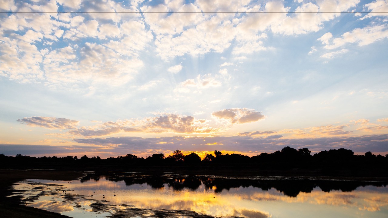 Photo of Others in South Luangwa National Park
