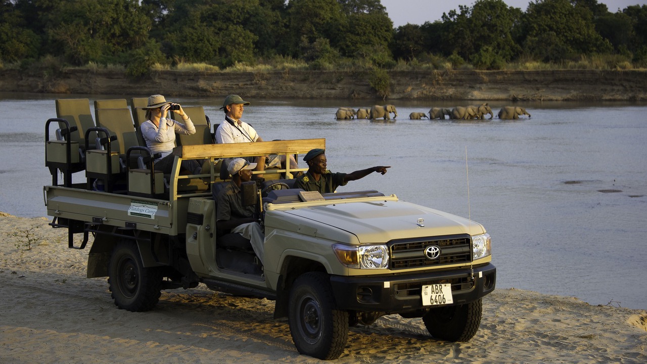 Photo of Others in South Luangwa National Park